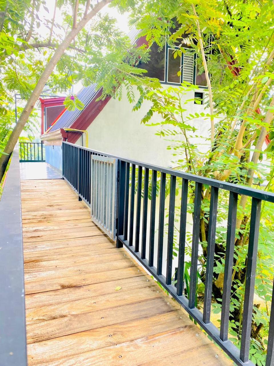 Cloudy Hill Cottage エッラ エクステリア 写真